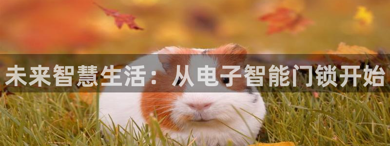 开丰娱乐会员中心：未来智慧生活：从电子智能门锁开始