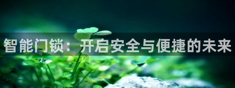 开丰娱乐天7O667：智能门锁：开启安全与便捷的未来