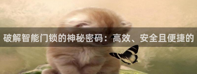 开丰娱乐予 7O935：破解智能门锁的神秘密码：高效、安全且