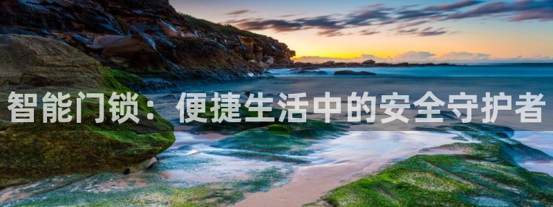 开丰娱乐寸67五壹叁八：智能门锁：便捷生活中的安全守护者