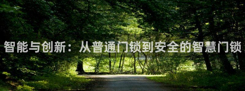 开丰娱乐平台提现失败：智能与创新：从普通门锁到安全的智慧门锁