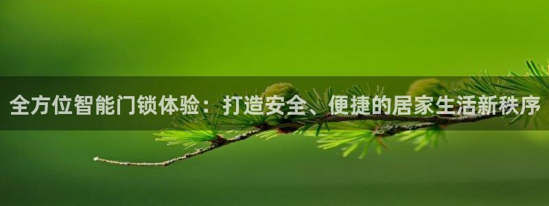 开丰娱乐右7O667：全方位智能门锁体验：打造安全、便捷的居