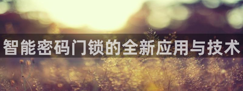 开丰娱乐最新活动：智能密码门锁的全新应用与技术