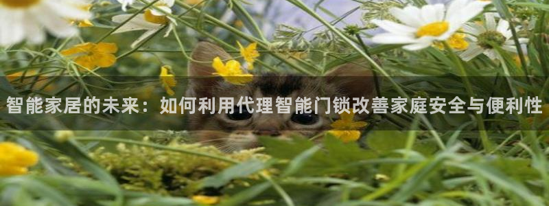 开丰娱乐最新活动：智能家居的未来：如何利用代理智能门锁改善家