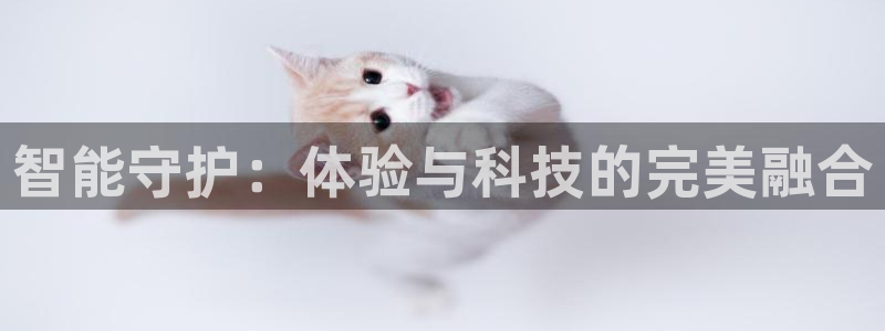 开丰娱乐优七九九47：智能守护：体验与科技的完美融合