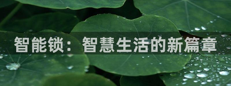 开丰娱乐上7O667：智能锁：智慧生活的新篇章