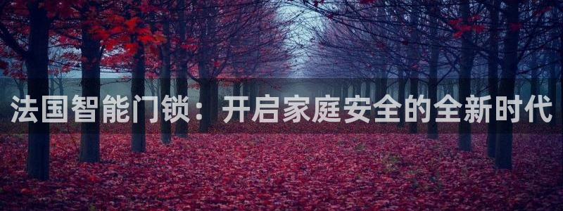 开丰娱乐注册资金多少：法国智能门锁：开启家庭安全的全新时代
