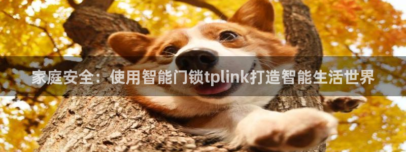 开丰娱乐地址查询：家庭安全：使用智能门锁tplink打造智能