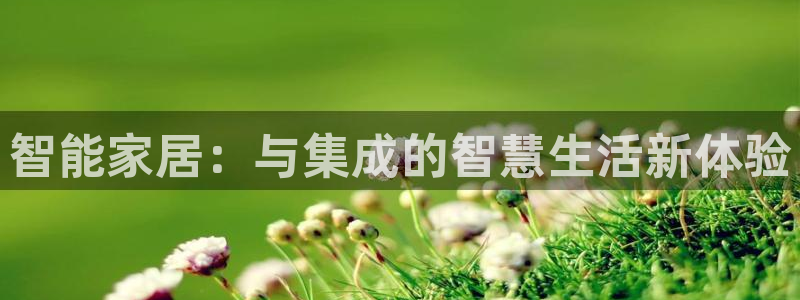 开丰娱乐注册：智能家居：与集成的智慧生活新体验