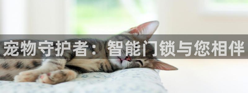 开丰娱乐官网平台下载：宠物守护者：智能门锁与您相伴