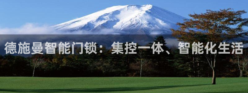 开丰娱乐注册电7O777：德施曼智能门锁：集控一体、智能化生