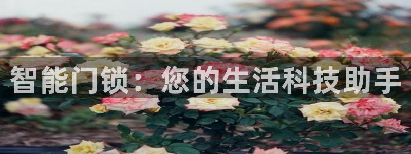 开丰娱乐登入地址是什么：智能门锁：您的生活科技助手