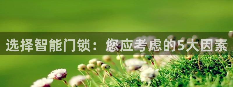开丰娱乐万六七五一38：选择智能门锁：您应考虑的5大因素