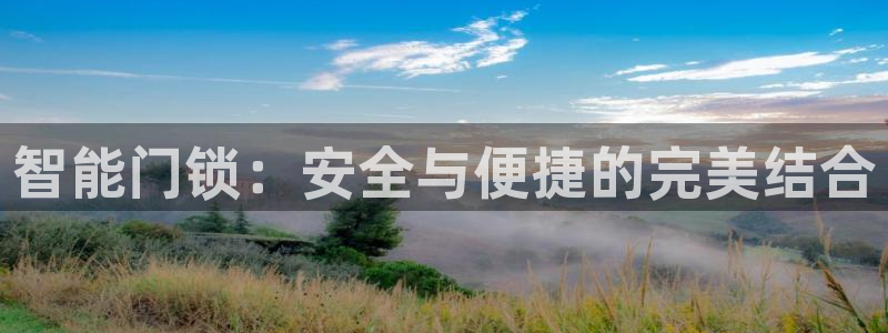 开丰娱乐网官网注册入口：智能门锁：安全与便捷的完美结合