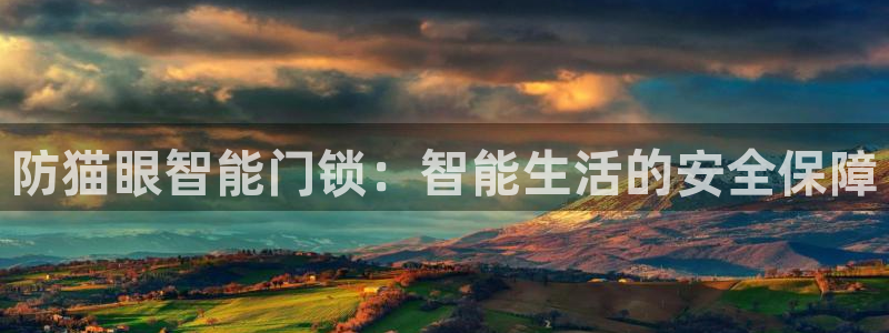 开丰娱乐天：防猫眼智能门锁：智能生活的安全保障