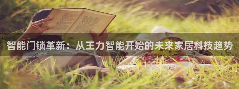 开丰娱乐平台：智能门锁革新：从王力智能开始的未来家居科技趋势
