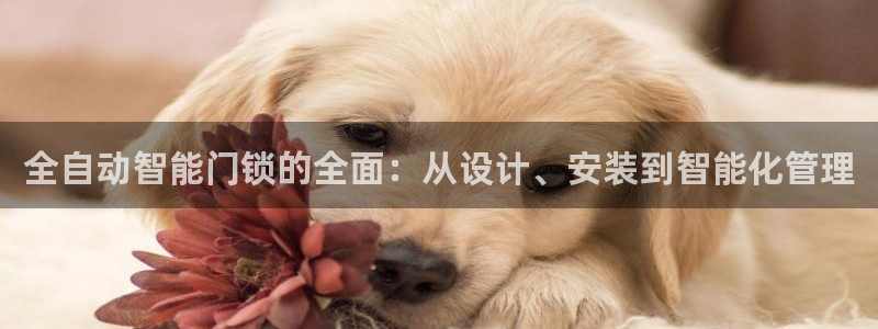 开丰娱乐平台登录网址：全自动智能门锁的全面：从设计、安装到智
