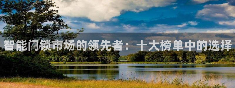 开丰娱乐主管家去判官333OO：智能门锁市场的领先者：十大榜