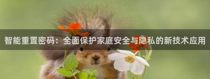 开丰娱乐网站官网：智能重置密码：全面保护家庭安全与隐私的新技