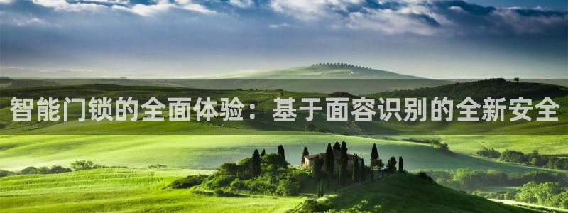 开丰娱乐趣 7O935：智能门锁的全面体验：基于面容识别的全