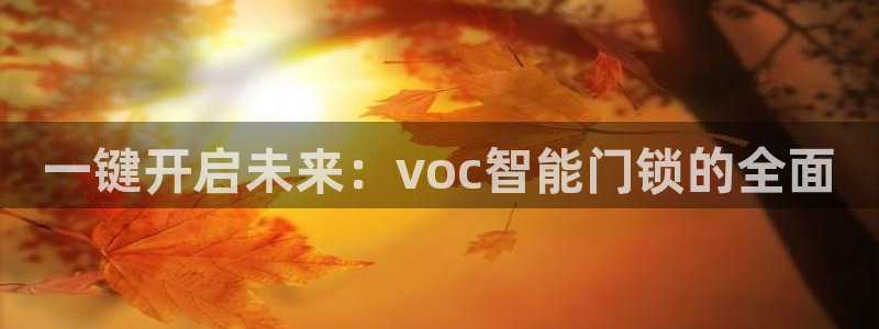 开丰娱乐若七九九：一键开启未来：voc智能门锁的全面