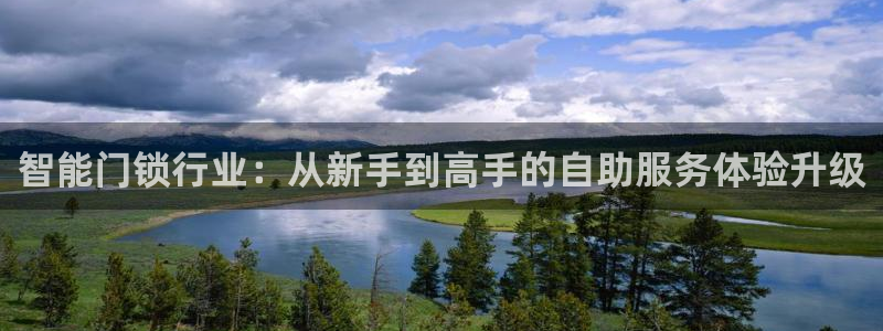 开丰娱乐平台提现失败：智能门锁行业：从新手到高手的自助服务体