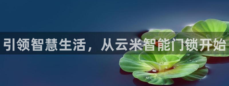 开丰娱乐官网首页：引领智慧生活，从云米智能门锁开始