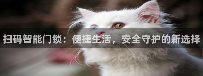 开丰娱乐最新活动：扫码智能门锁：便捷生活，安全守护的新选择