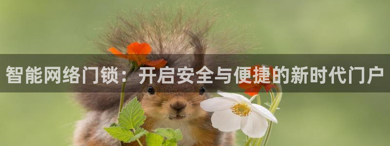 开丰娱乐登录平台：智能网络门锁：开启安全与便捷的新时代门户