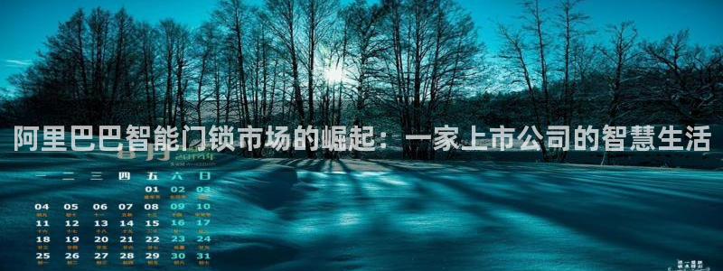 开丰娱乐下：阿里巴巴智能门锁市场的崛起：一家上市公司的智慧生