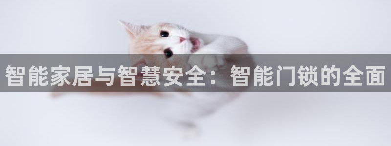 开丰娱乐日7O667：智能家居与智慧安全：智能门锁的全面