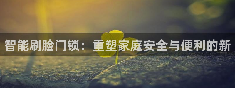 开丰娱乐登录官方网站：智能刷脸门锁：重塑家庭安全与便利的新