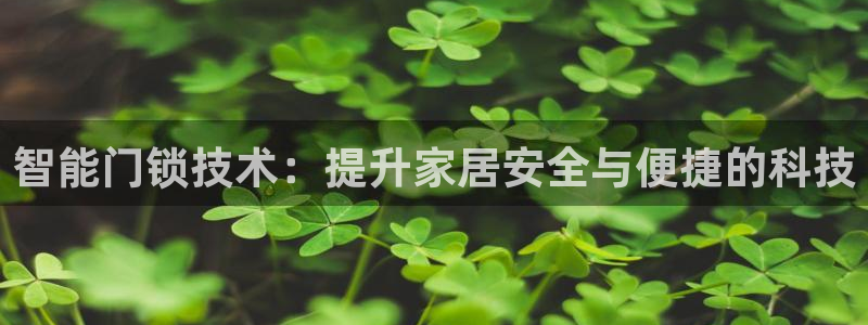 开丰娱乐登入地址查询：智能门锁技术：提升家居安全与便捷的科技