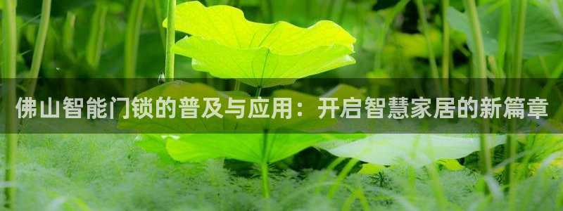 开丰娱乐登录地址入口：佛山智能门锁的普及与应用：开启智慧家居