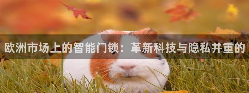 开丰娱乐更多平台：欧洲市场上的智能门锁：革新科技与隐私并重的