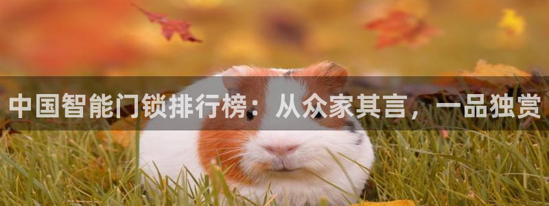 开丰娱乐下：中国智能门锁排行榜：从众家其言，一品独赏