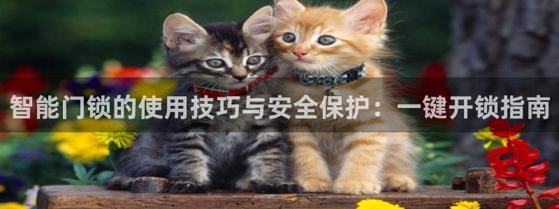 开丰娱乐月7O667：智能门锁的使用技巧与安全保护：一键开锁