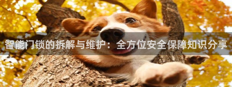 开丰娱乐注册：智能门锁的拆解与维护：全方位安全保障知识分享