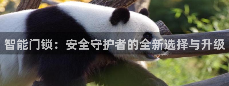 开丰娱乐平台登录：智能门锁：安全守护者的全新选择与升级