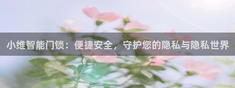 开丰娱乐违法吗：小维智能门锁：便捷安全，守护您的隐私与隐私世