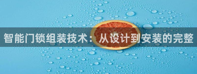 开丰娱乐趣 7O935：智能门锁组装技术：从设计到安装的完整