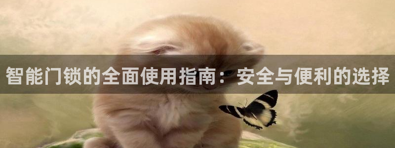 开丰娱乐下：智能门锁的全面使用指南：安全与便利的选择