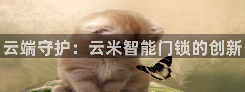 开丰娱乐网站官网首页：云端守护：云米智能门锁的创新