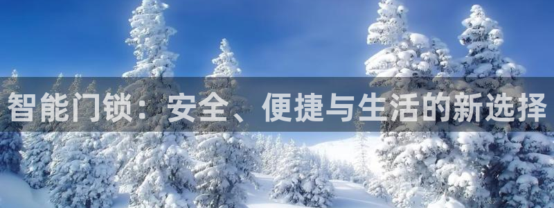开丰娱乐怎么开转点：智能门锁：安全、便捷与生活的新选择