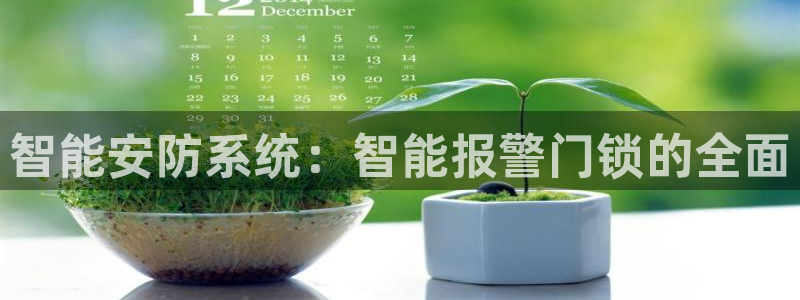 开丰娱乐官方app：智能安防系统：智能报警门锁的全面