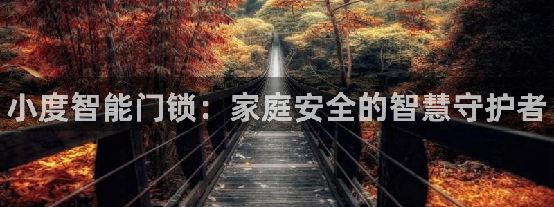 如何注册开丰娱乐账号：小度智能门锁：家庭安全的智慧守护者