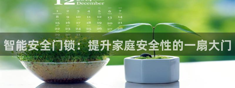 开丰娱乐天7O667：智能安全门锁：提升家庭安全性的一扇大门