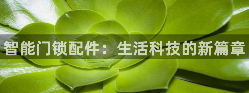 开丰娱乐行业恢复时间：智能门锁配件：生活科技的新篇章