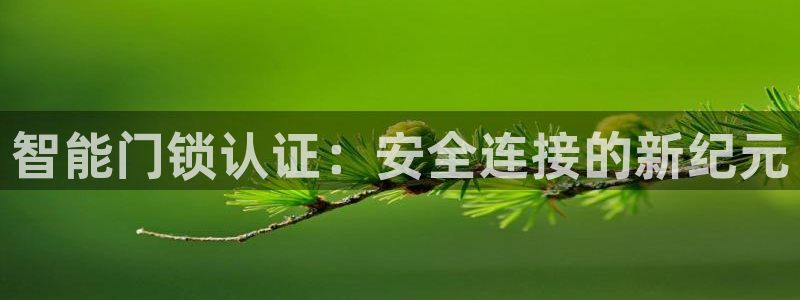 开丰娱乐注册登录不了：智能门锁认证：安全连接的新纪元