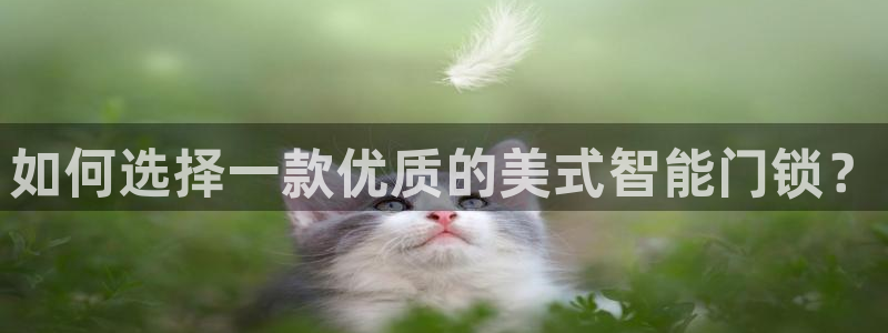 开丰娱乐平台地址在哪里：如何选择一款优质的美式智能门锁？